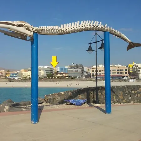 Zen Playa Chica Апартаменты
